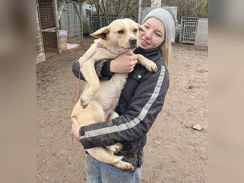 ❤️❤️❤️ erwachte Lebensfreude pur:  LUNA - 4,5 Jahre, 42cm/12kg - Mischling