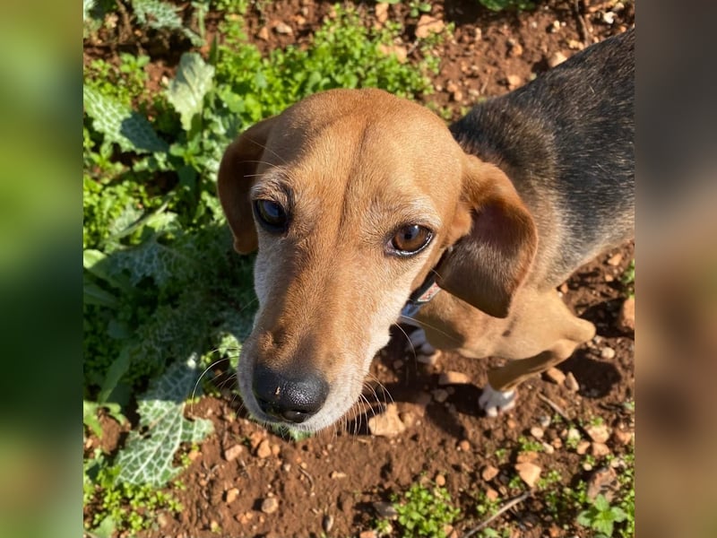 Couch gesucht für LINA
