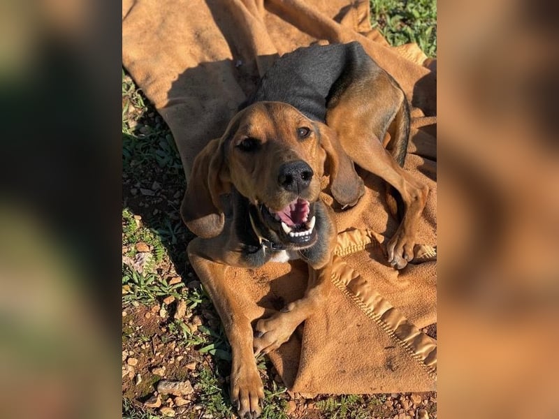 MEZZI auf Körbchensuche