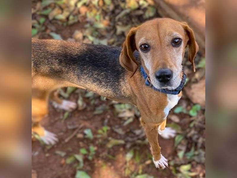 Couch gesucht für LINA