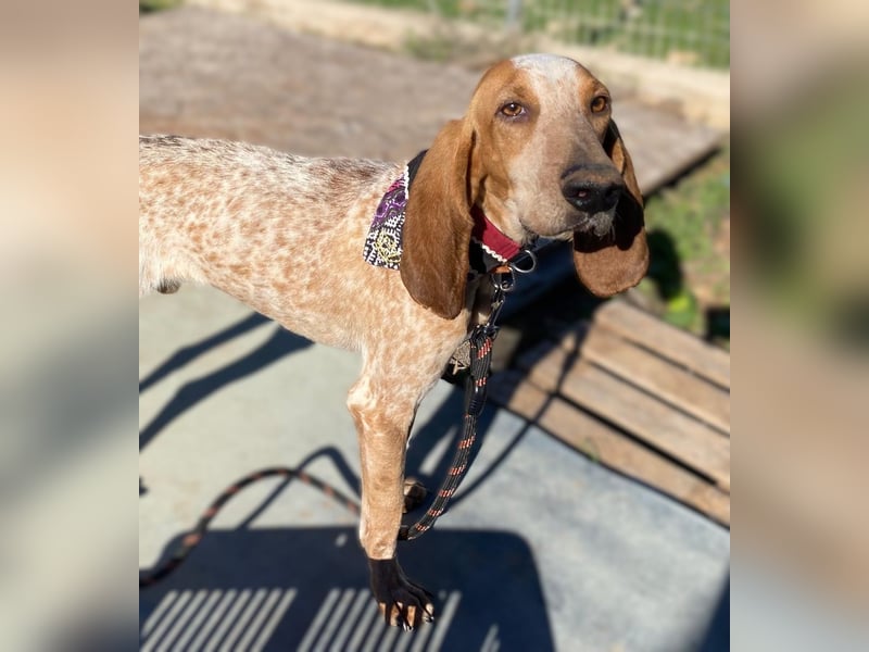 FRIXOS sucht Familienanschluß