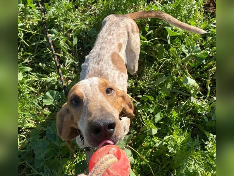 FRIXOS sucht Familienanschluß