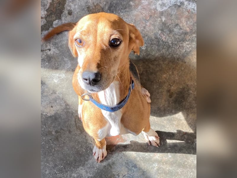 Couch gesucht für LINA