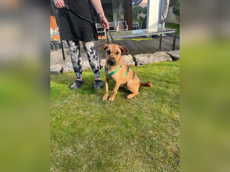 Hübsche Tina sucht ihre Menschen