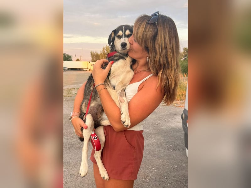 Bezaubernde Daisy sucht ihre Menschen