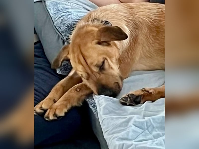 Hübsche Tina sucht ihre Menschen
