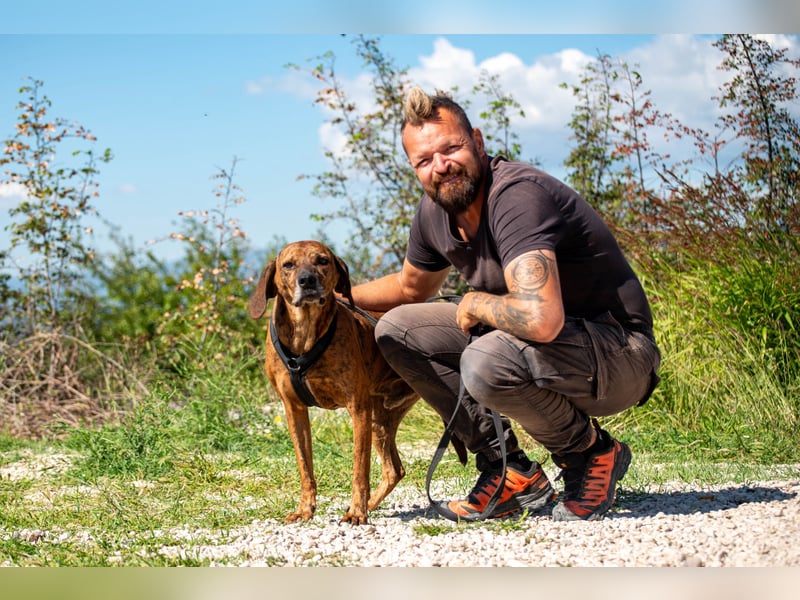 Lebensfroher Shaggy sucht seinen Jackpot!