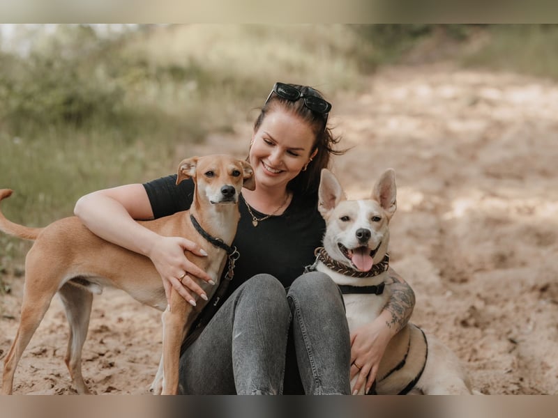 Hailey (Hedvig) -Fröhliche Junghündin sucht aktive Menschen für gemeinsame Abenteuer