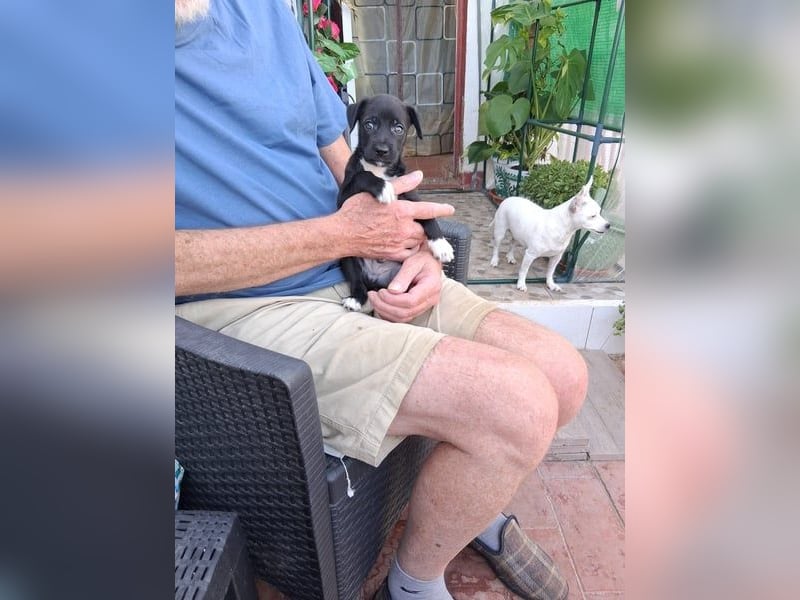 Mouse, als Baby einfach weggeworfen