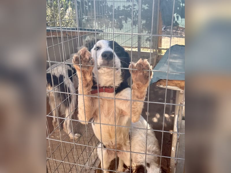 Onida - sie wurde mit ihrem Bruder auf dem Militärgelände gefunden