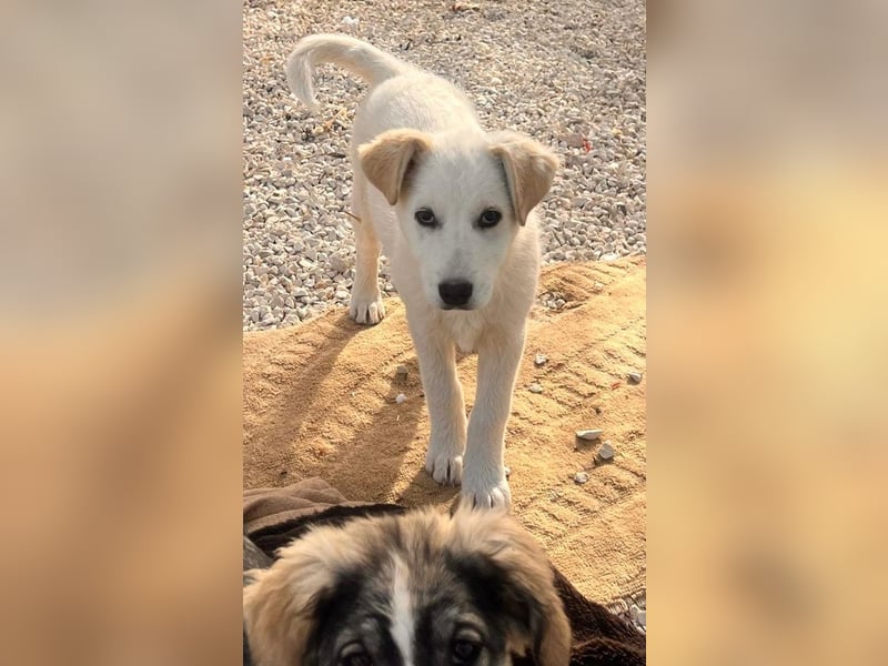 Skye sucht nach Geborgenheit