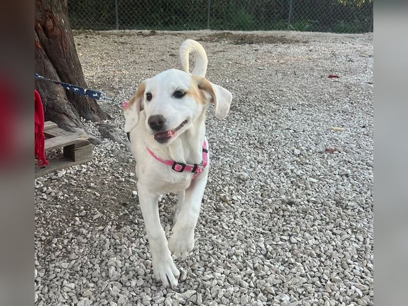 Lilly - will nur noch SCHÖNE Abenteuer