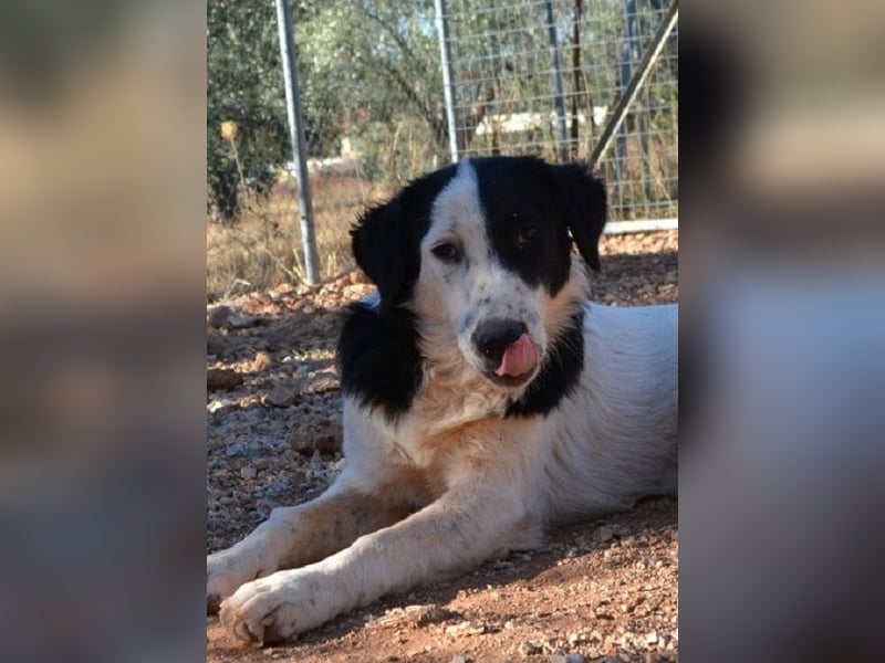 Onida - sie wurde mit ihrem Bruder auf dem Militärgelände gefunden