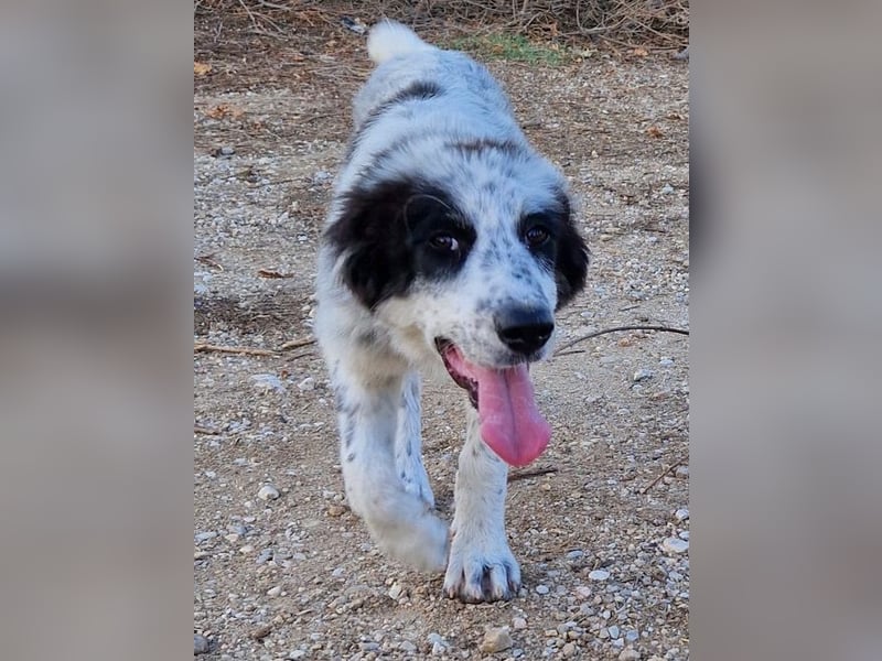 Silvana - sie ist völlig unkompliziert und immer fröhlich.