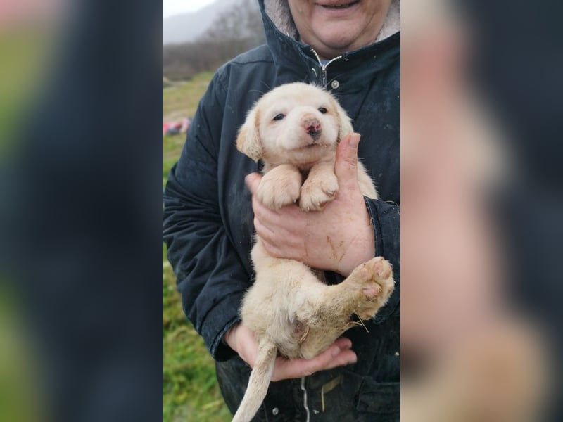 Lilly - will nur noch SCHÖNE Abenteuer