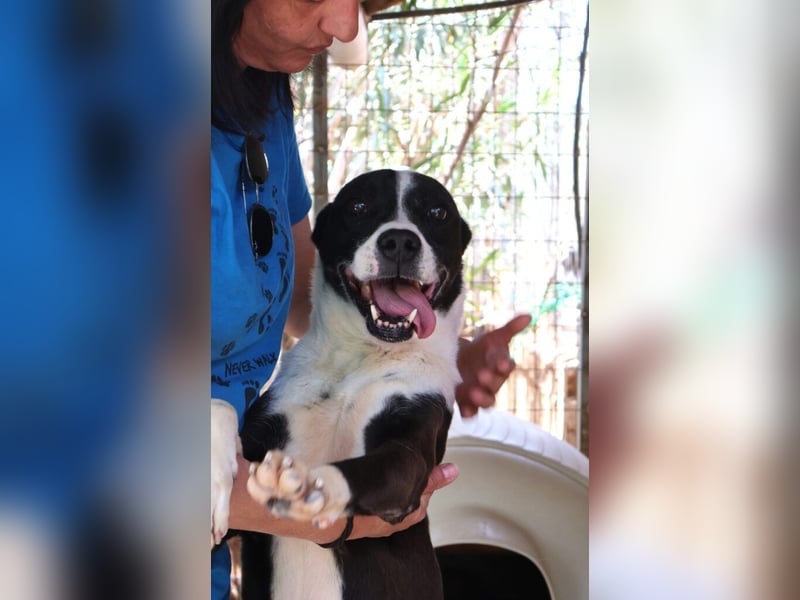 Cole - er hat schon ganz viele Tiefen des Lebens mitgemacht