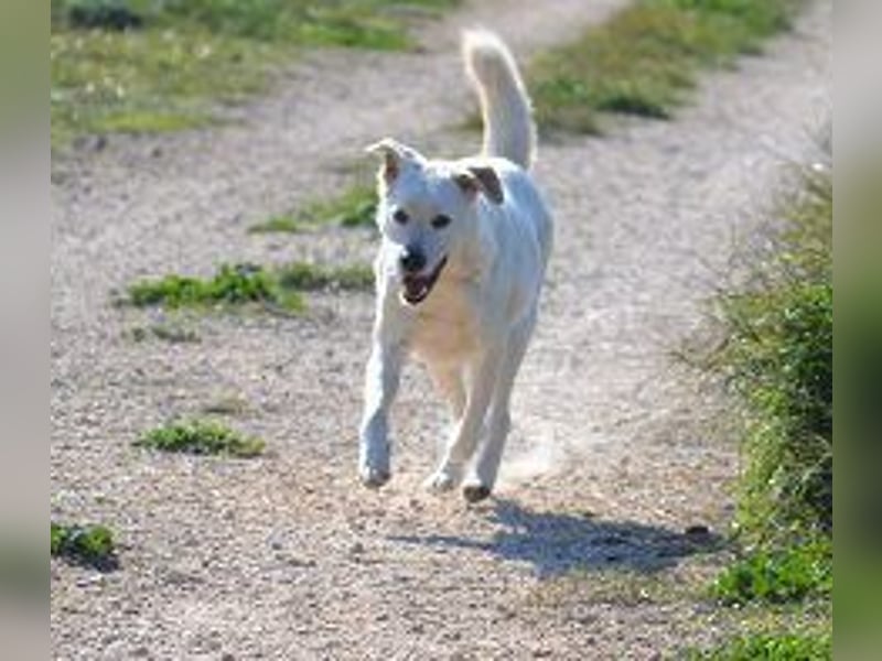 Alkis - alle sind „total verliebt“ in ihn