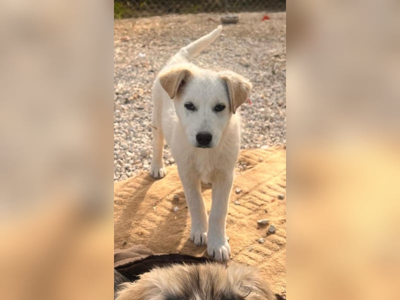 Skye sucht nach Geborgenheit
