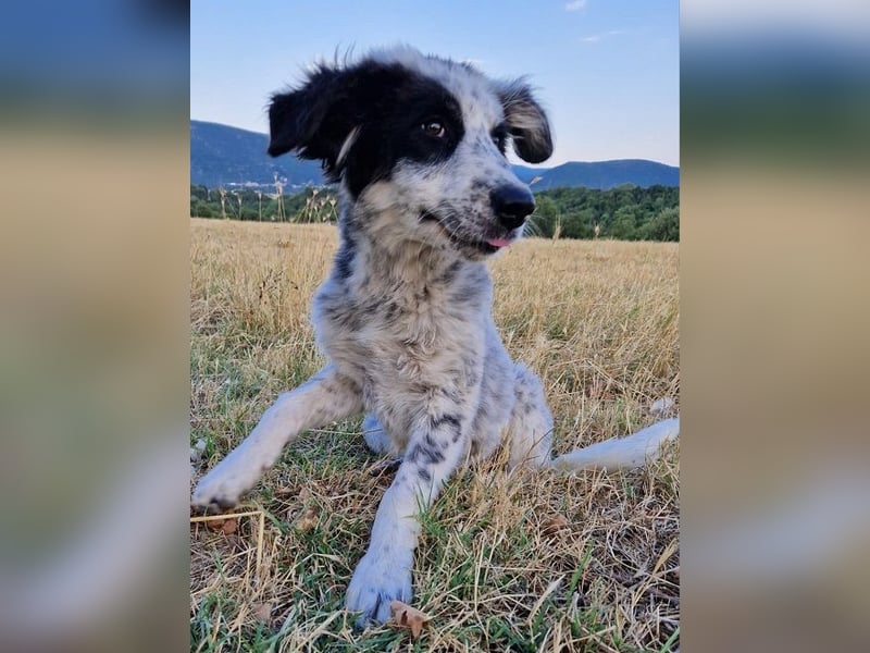 Silvana - sie ist völlig unkompliziert und immer fröhlich.