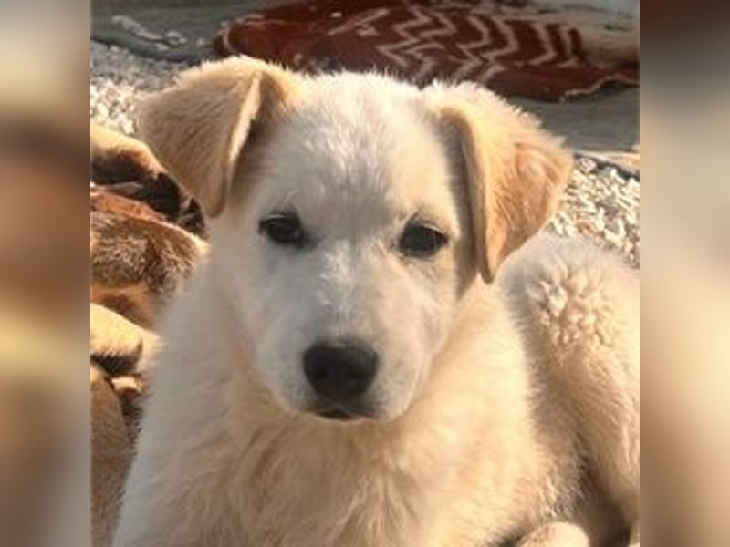 Skye sucht nach Geborgenheit