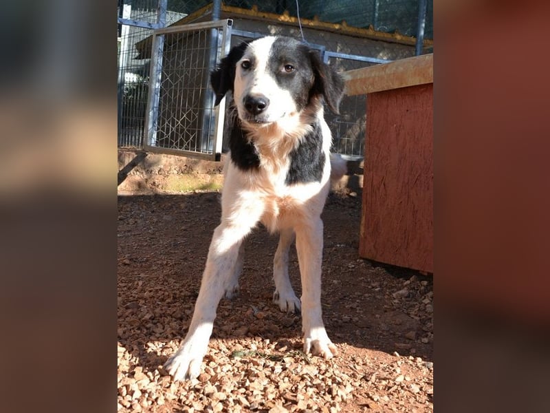 Onida - sie wurde mit ihrem Bruder auf dem Militärgelände gefunden