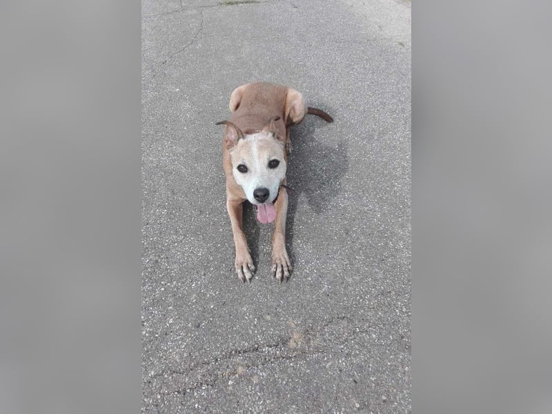 Gina - nach 10 Jahren muss sie ihr Zuhause verlassen