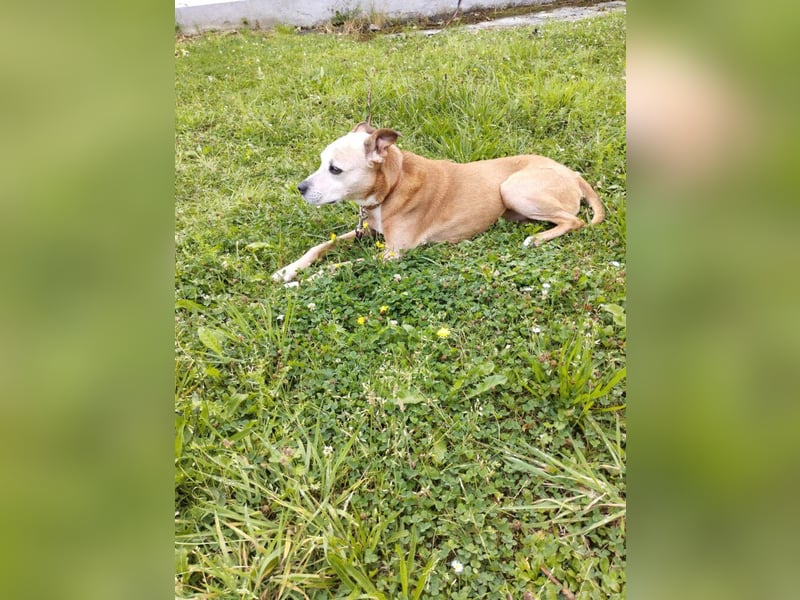 Gina - nach 10 Jahren muss sie ihr Zuhause verlassen