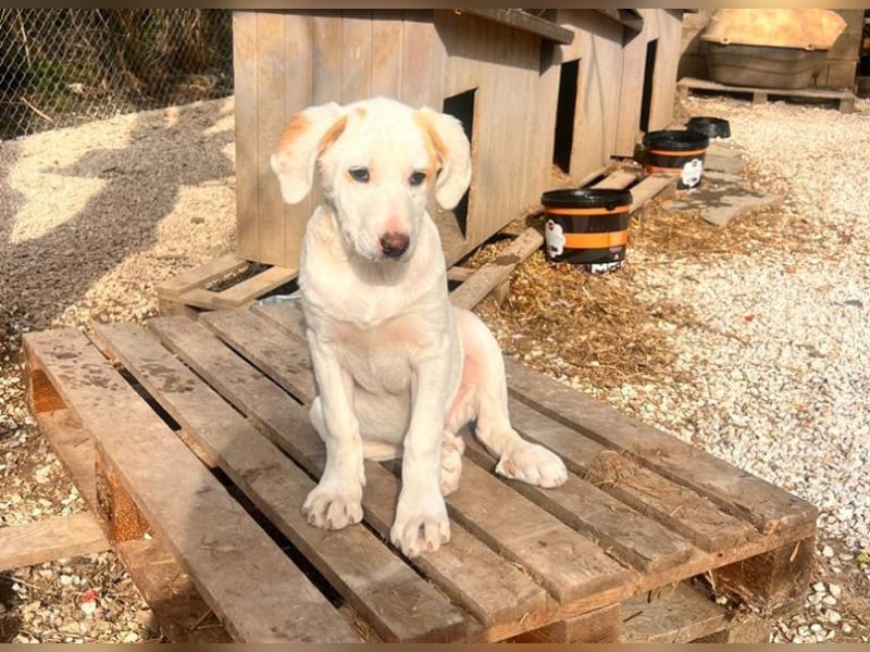 Lilly - will nur noch SCHÖNE Abenteuer