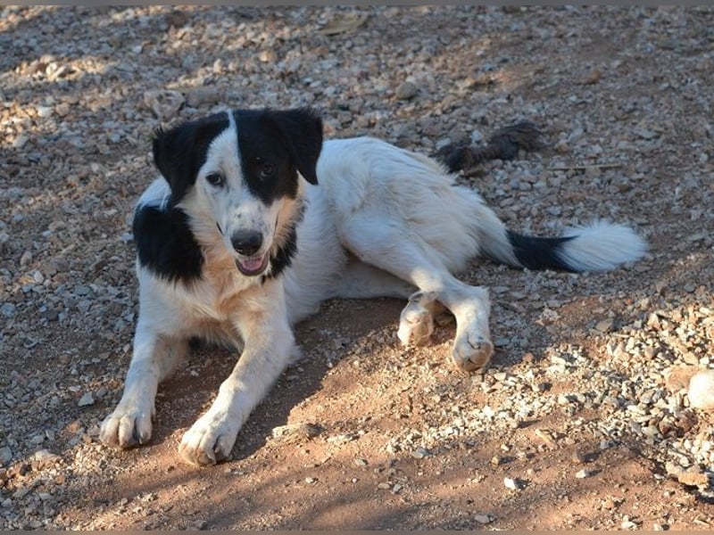 Onida - sie wurde mit ihrem Bruder auf dem Militärgelände gefunden