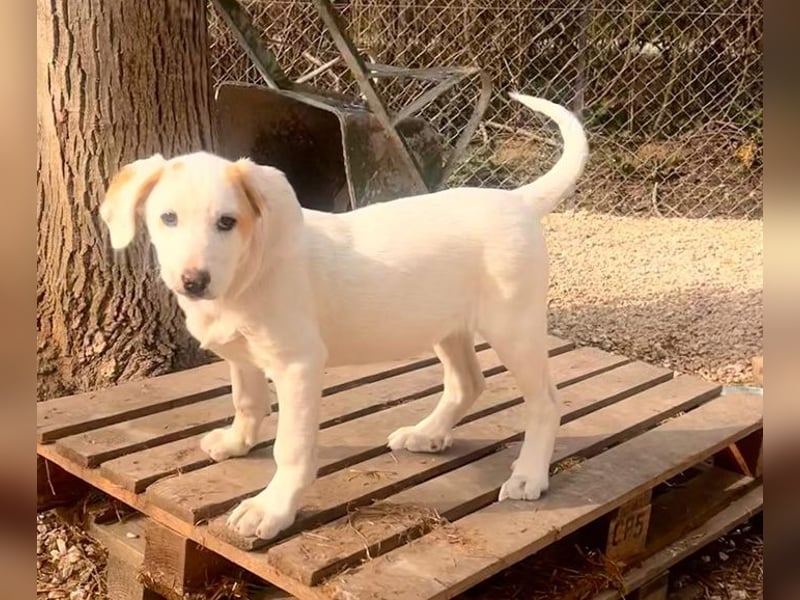 Lilly - will nur noch SCHÖNE Abenteuer