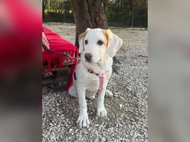 Lilly - will nur noch SCHÖNE Abenteuer