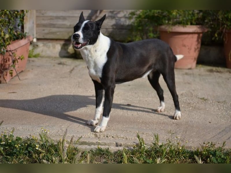 Cole - er hat schon ganz viele Tiefen des Lebens mitgemacht