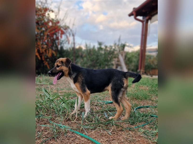Gass - ausgesetzt zwischen Bahnlinie und Straße.
