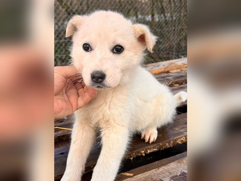 Skye sucht nach Geborgenheit