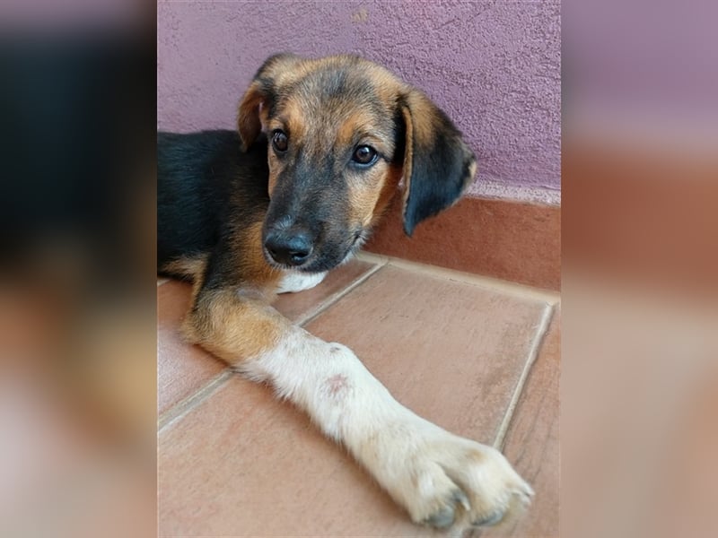 Gass - ausgesetzt zwischen Bahnlinie und Straße.