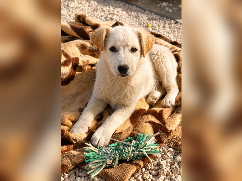 Skye sucht nach Geborgenheit