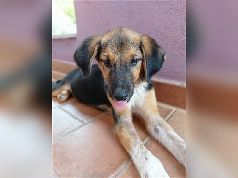 Gass - ausgesetzt zwischen Bahnlinie und Straße.