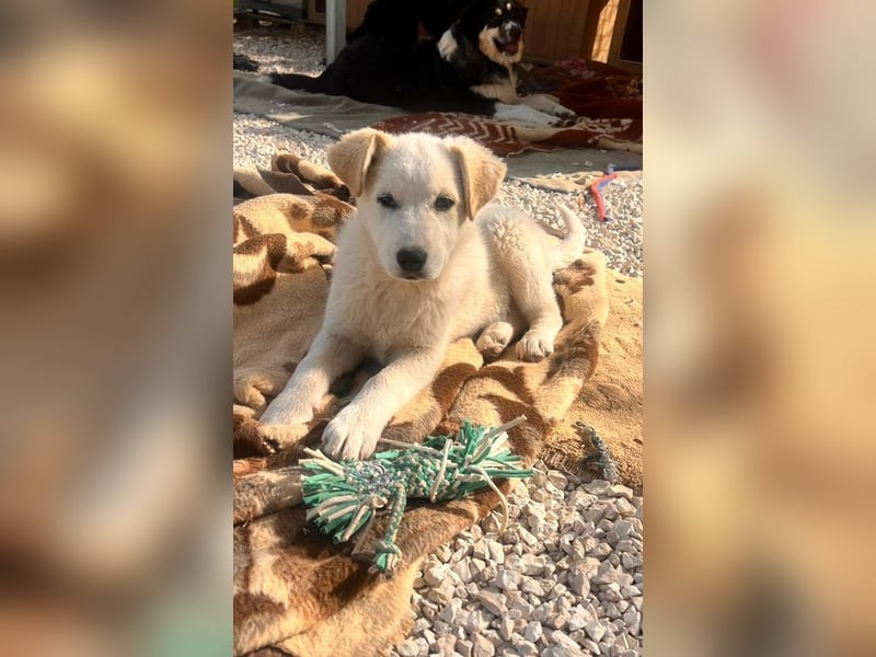 Skye sucht nach Geborgenheit