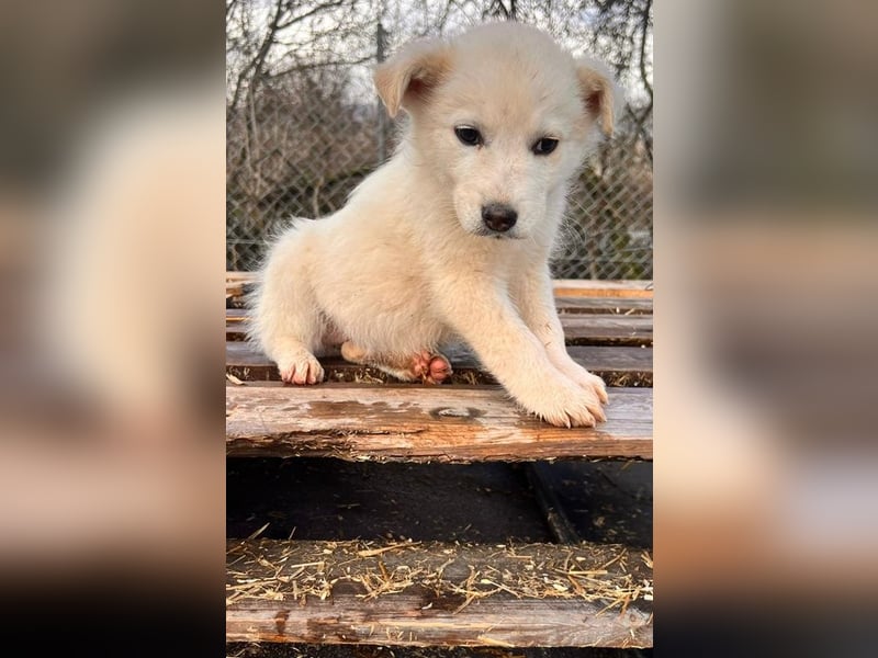 Skye sucht nach Geborgenheit