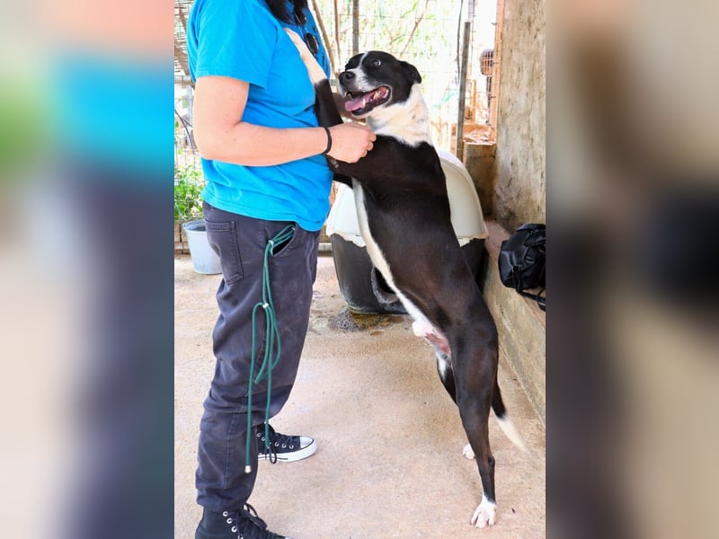 Cole - er hat schon ganz viele Tiefen des Lebens mitgemacht