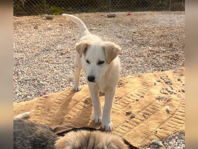Skye sucht nach Geborgenheit