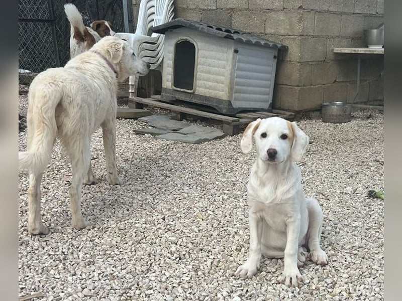 Lilly - will nur noch SCHÖNE Abenteuer