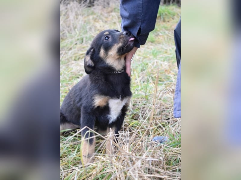 Bethany, ca. 4 Monate alt