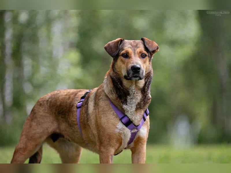 Soziale Rita sucht ihr liebevolles Zuhause