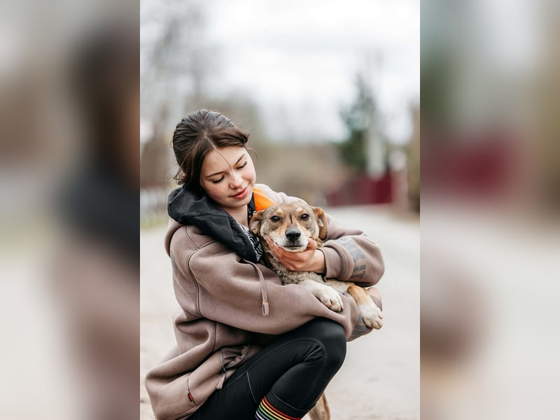 Ruhiges Zuhause für Heidi gesucht