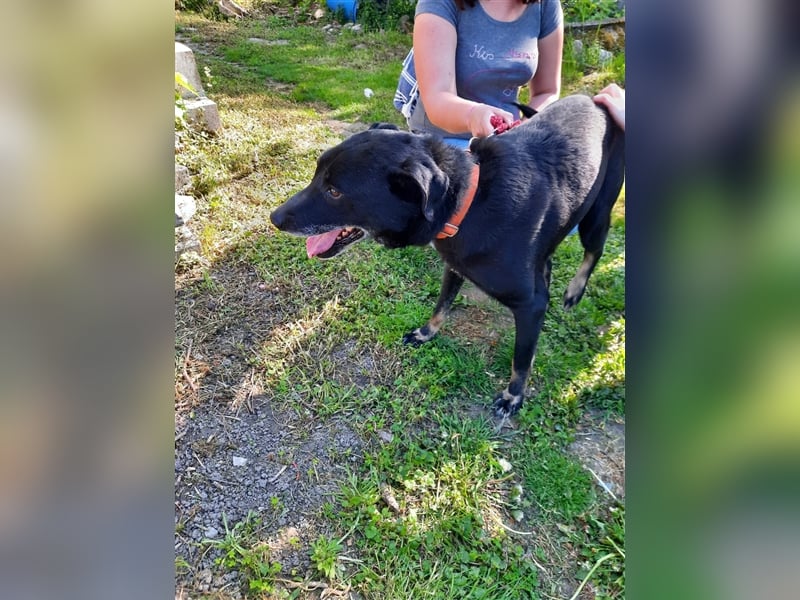 Kormi wurde obdachlos