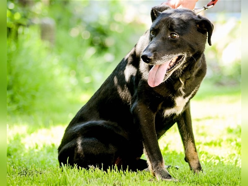 Kormi wurde obdachlos