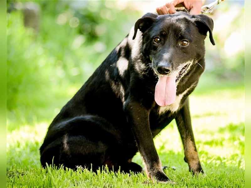 Kormi wurde obdachlos