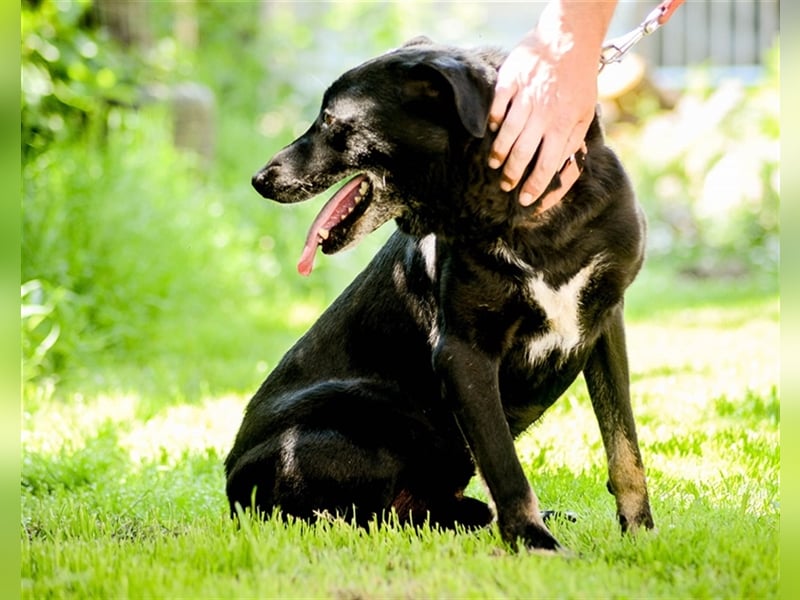 Kormi wurde obdachlos