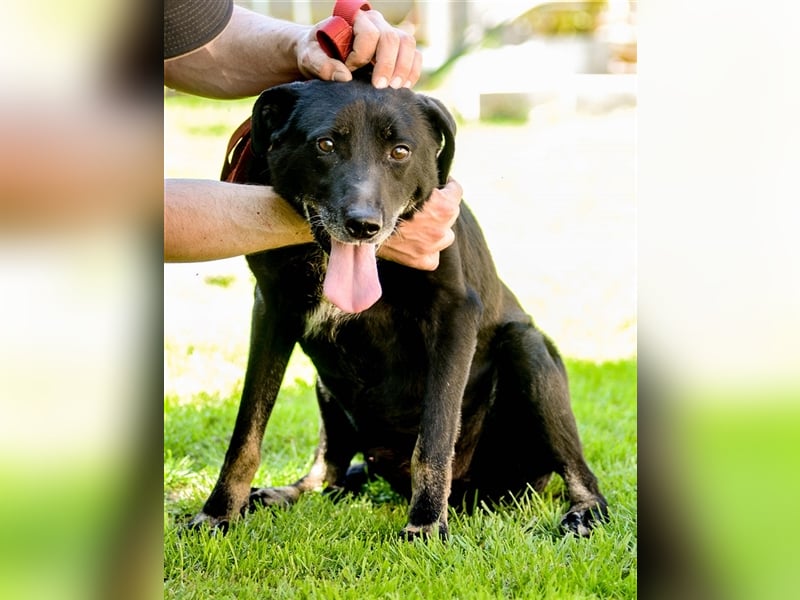 Kormi wurde obdachlos